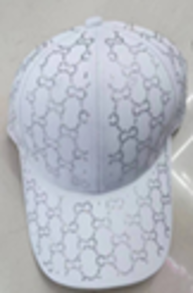 Fashion Cap - CA2312