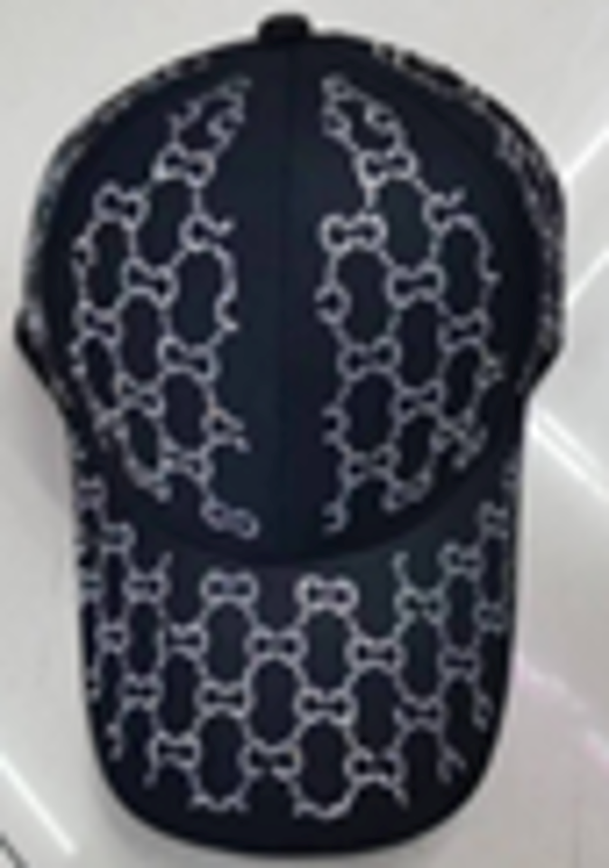 Fashion Cap  - CA2312