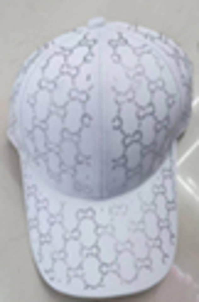 Fashion Cap  - CA2312