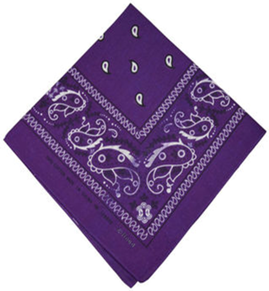 Regular Bandana Scarf - 55cm x 55cm [DZ]