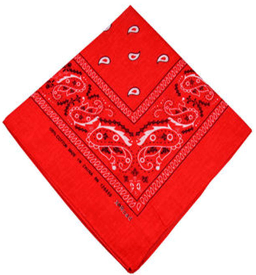 Regular Bandana Scarf - 55cm x 55cm [DZ]