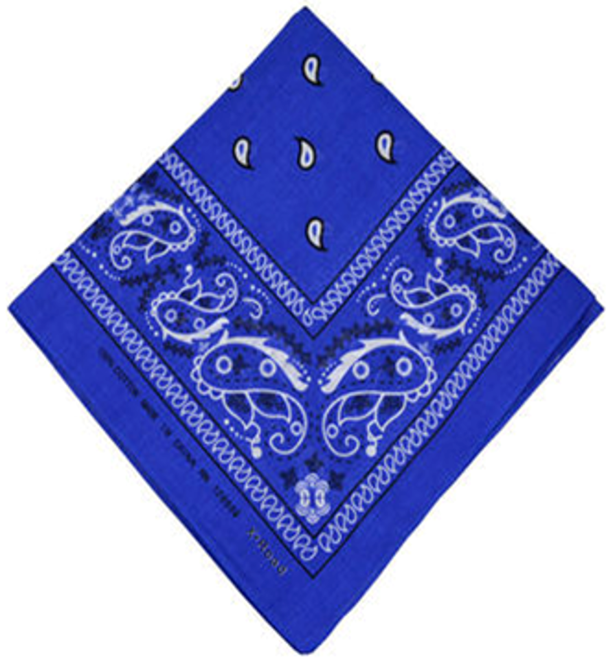 Regular Bandana Scarf - 55cm x 55cm [DZ]