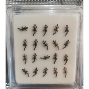 925 sterling silver nose studs-NP23008-4G