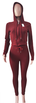 Hoody 2pcs Long outfits-IV2PCL01Q